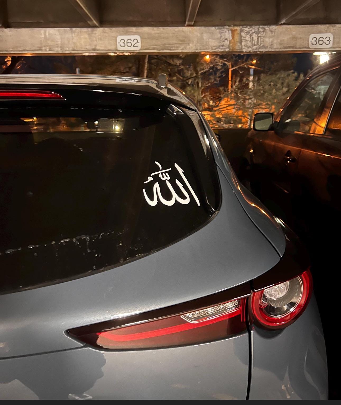 car decal/ vinyl stickers